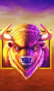 Buffalo King