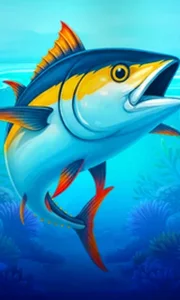 Big Boat Big Catch